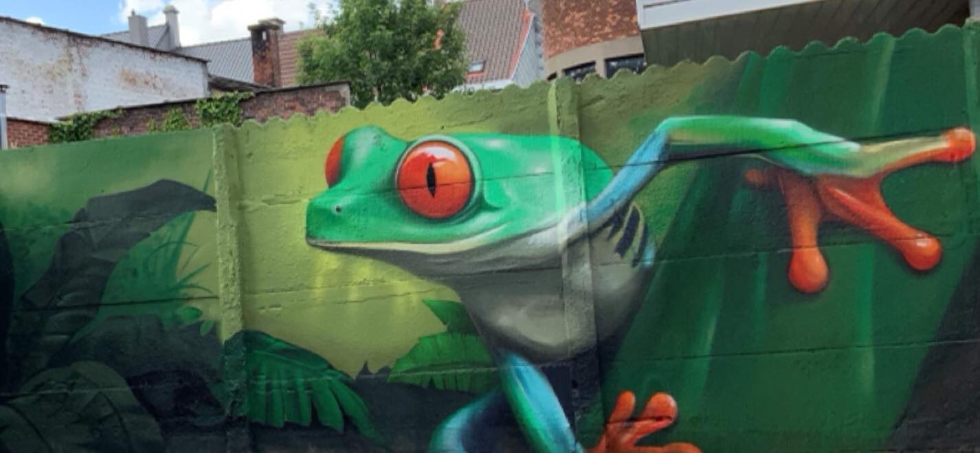 muurschilderingen bij u thuis